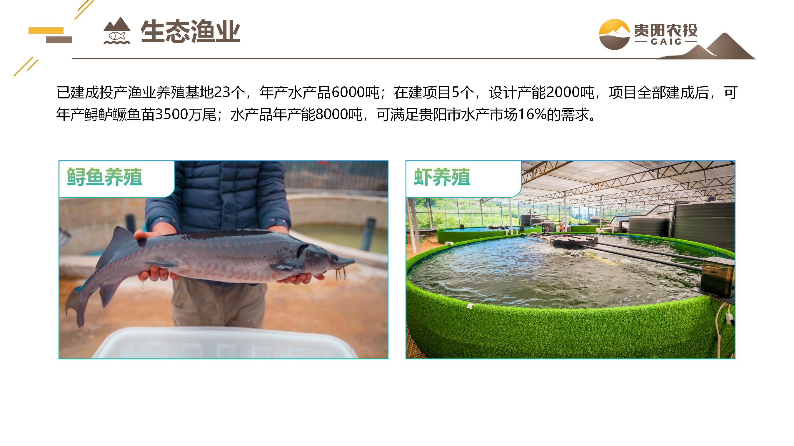6a115445-ec79-4e9e-aaf7-7b9710c56d52.jpeg